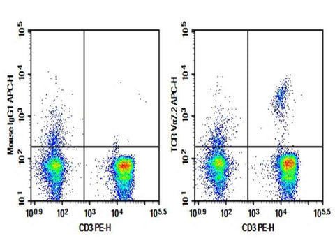 Anti-Human TCR Vα7.2 Antibody [3C10] - ABMIUM