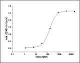 Measured by its binding ability in a functional ELISA. Immobilized mouse IL1R2-His at 10 μg/ml (100 μl/well) can bind biotinylated human IL1B-His (Cat: PKSH031840), The EC<sub>50</sub> of biotinylated human IL1B-His (Cat: PKSH031840) is 0.37-0.85 μg/ml.