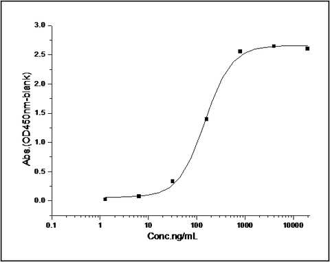 Measured by its binding ability in a functional ELISA. Immobilized mouse IL1R2-His at 10 μg/ml (100 μl/well) can bind biotinylated human IL1B-His (Cat: PKSH031840), The EC<sub>50</sub> of biotinylated human IL1B-His (Cat: PKSH031840) is 0.37-0.85 μg/ml.