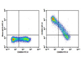 Human peripheral blood lymphocytes were stained with 0.2 μg Purified Anti-Human CD45RO Antibody[UCHL1](Right) and 0.2 μg Mouse IgG2a, κ Isotype Control(Left), followed by APC-conjugated Goat Anti-Mouse IgG Secondary Antibody, then anti-Human CD45RA FITC-conjugated Monoclonal Antibody and anti-Human CD3 PerCP-conjugated Monoclonal Antibody. Data shown were from CD3+ population.