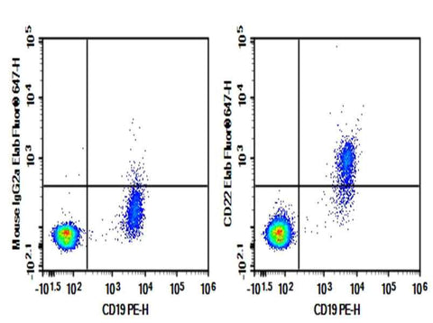 Anti-Human CD22 Antibody [LL2] - ABMIUM