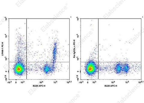 Anti-Mouse LPAM-1 Antibody [DATK32] - ABMIUM