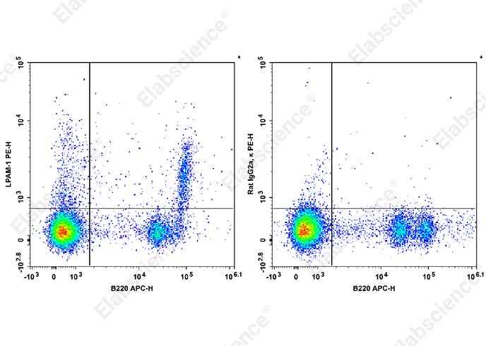 Anti-Mouse LPAM-1 Antibody [DATK32] - ABMIUM