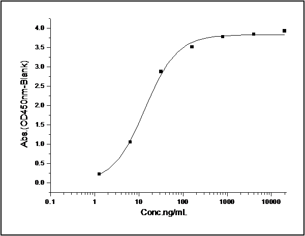 Measured by its binding ability in a functional ELISA. Immobilized human CD200R1 at 1 μg/ml (100 μl/well) can bind human CD200 with a linear range of 0.12-16 ng/ml.