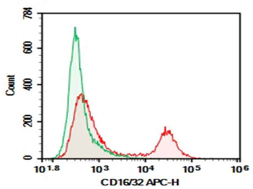 Anti-Mouse CD16/32 Antibody [93] - ABMIUM