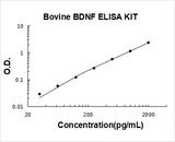 Bovine BDNF ELISA Kit PicoKine® Boster Bio