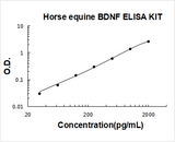 Horse equine BDNF ELISA Kit PicoKine® Boster Bio