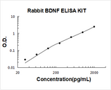Rabbit BDNF ELISA Kit PicoKine® Boster Bio