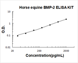 Horse equine BMP-2 ELISA Kit PicoKine® Boster Bio