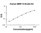 Human MMP-10/Stromelysin-2 ELISA Kit PicoKine® Boster Bio