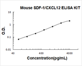 Mouse SDF-1/CXCL12 ELISA Kit PicoKine® Boster Bio