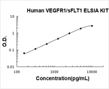 Human VEGFR1/sFLT1 ELISA Kit PicoKine® Boster Bio