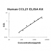 Human CCL21/6Ckine ELISA Kit EZ-Set™ (DIY Antibody Pairs) Boster Bio
