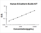 Human E-Cadherin/CDH1/Cadherin-1 ELISA Kit PicoKine® Boster Bio