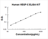Human VEGF-C ELISA Kit PicoKine® Boster Bio