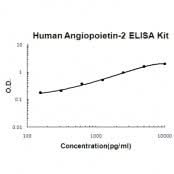 Human Angiopoietin-2 ELISA Kit EZ-Set™ (DIY Antibody Pairs) Boster Bio