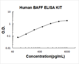 Human BAFF / TNFSF13B ELISA Kit PicoKine® Boster Bio