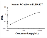 Human P-Cadherin-3 CDH3 ELISA Kit PicoKine® Boster Bio