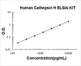 Human Cathepsin H ELISA Kit PicoKine® Boster Bio