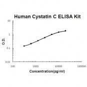 Human Cystatin C ELISA Kit EZ-Set™ (DIY Antibody Pairs) Boster Bio
