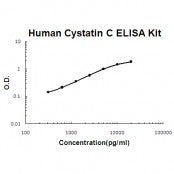 Human Cystatin C ELISA Kit EZ-Set™ (DIY Antibody Pairs) Boster Bio