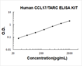 Human CCL17/TARC ELISA Kit PicoKine® Boster Bio