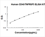 Human CD40/TNFRSF5 ELISA Kit PicoKine® Boster Bio