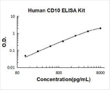 Human CD10/Neprilysin ELISA Kit PicoKine® Boster Bio