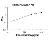 Rat Lipocalin-2/NGAL ELISA Kit PicoKine® Boster Bio