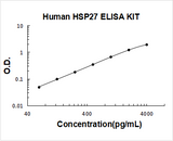 Human HSP27/HSPB1/Heat Shock Protein 27 ELISA Kit PicoKine® Boster Bio