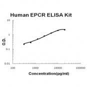 Human EPCR ELISA Kit EZ-Set™ (DIY Antibody Pairs) Boster Bio