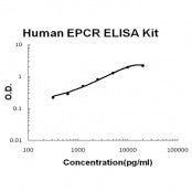 Human EPCR ELISA Kit EZ-Set™ (DIY Antibody Pairs) Boster Bio