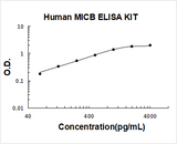Human MICB ELISA Kit PicoKine® Boster Bio