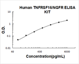 Human TNFRSF16 / NGFR / CD271 ELISA Kit PicoKine® Boster Bio