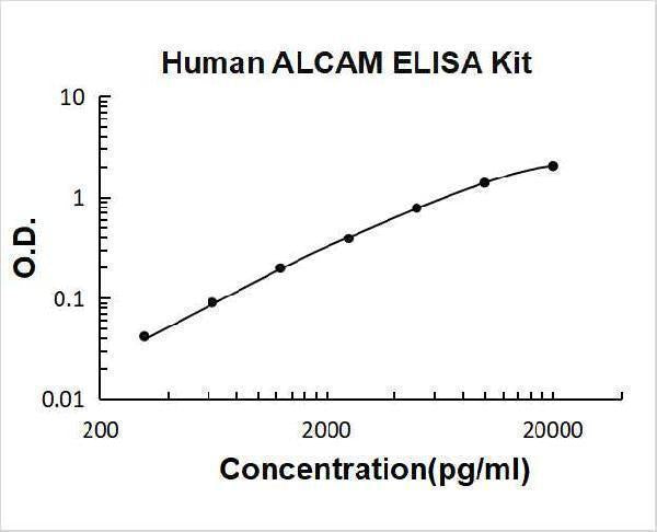 Human ALCAM/CD166 ELISA Kit PicoKine® Boster Bio