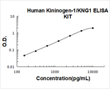 Human Kininogen-1 / KNG1 / HMW Kininogen ELISA Kit PicoKine® Boster Bio
