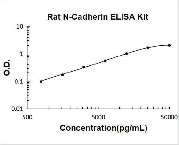 Rat N-Cadherin-2 CDH2 CD325 ELISA Kit PicoKine® Boster Bio