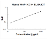 Mouse WISP1/CCN4 ELISA Kit PicoKine® Boster Bio