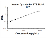 Human Cystatin B/CSTB ELISA Kit PicoKine® Boster Bio