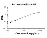 Rat Lumican ELISA Kit PicoKine® Boster Bio