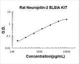 Rat Neuropilin-2 ELISA Kit PicoKine® Boster Bio