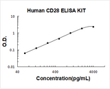 Human CD28 ELISA Kit PicoKine® Boster Bio