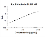 Rat E-Cadherin/CDH1/Cadherin-1 ELISA Kit PicoKine® Boster Bio