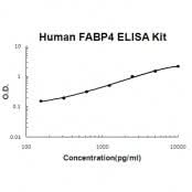 Human FABP4 ELISA Kit EZ-Set™ (DIY Antibody Pairs) Boster Bio