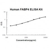 Human FABP4 ELISA Kit EZ-Set™ (DIY Antibody Pairs) Boster Bio