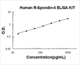 Human R-Spondin-4 ELISA Kit PicoKine® Boster Bio