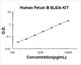 Human Fetuin B/FETUB ELISA Kit PicoKine® Boster Bio