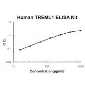 Human TREML1 ELISA Kit EZ-Set™ (DIY Antibody Pairs) Boster Bio