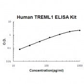 Human TREML1 ELISA Kit EZ-Set™ (DIY Antibody Pairs) Boster Bio