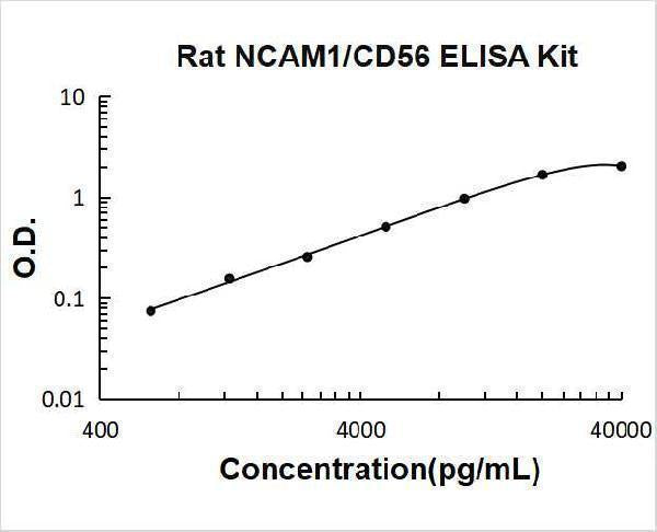Rat CD56/NCAM-1 ELISA Kit PicoKine® Boster Bio